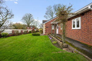 Photo 21- click for photo gallery